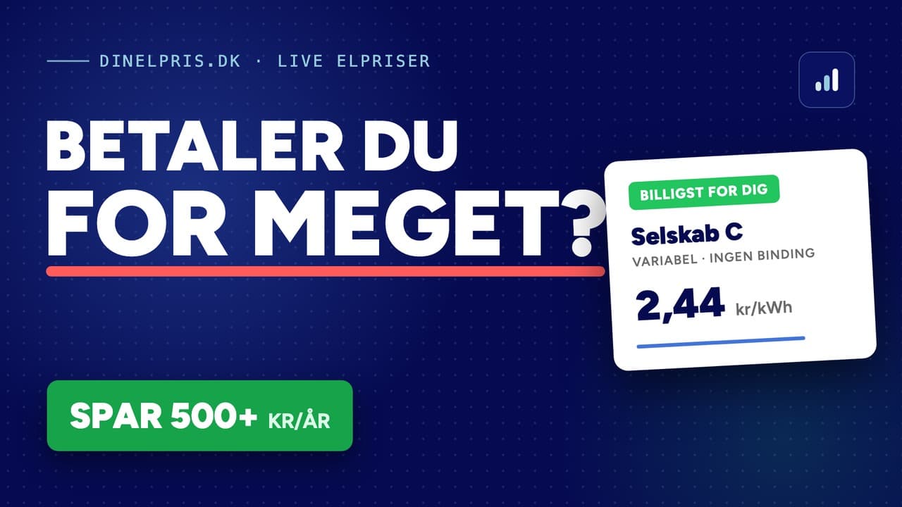 Billigste elselskab: Sådan finder du det (4 enkle trin)