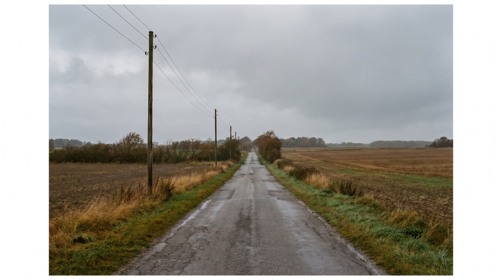Landevej med elmaster gennem danske marker